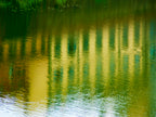 Arno Impressionista